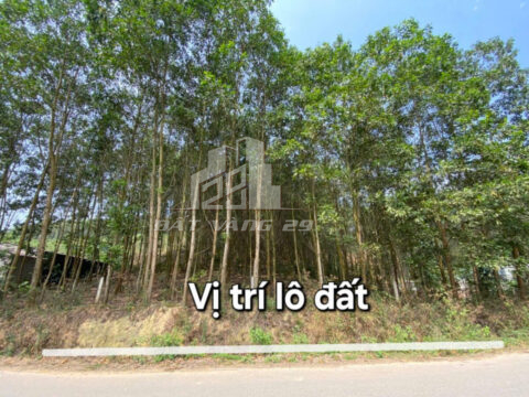 Bán đất An Lạc Lạc Thủy Hòa Bình – 848m² Có 150m² Thổ Cư – Bám Đường Nhựa 33m