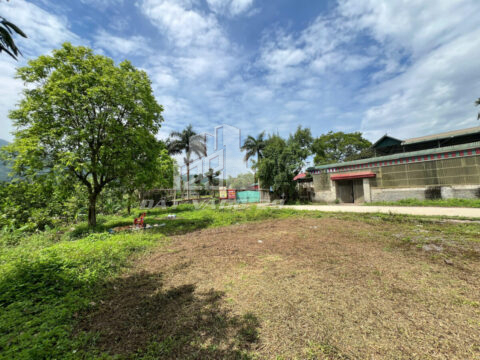 Bán đất Lương Sơn Hòa Bình – Lô đất trung xã, tiện ích đầy đủ, cách Hà Nội chỉ 36km   S=178.5m2