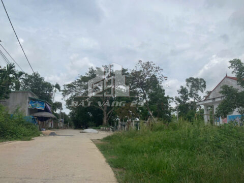 Bán đất Trường Yên Chương Mỹ – Diện tích 100m² – Gần đường lớn, ô tô vào tận nơi