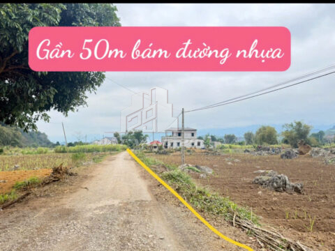 Bán đất Tân Lạc Hòa Bình – 1.287m² mặt đường nhựa Suối Hoa, view thoáng, khu dân cư đông