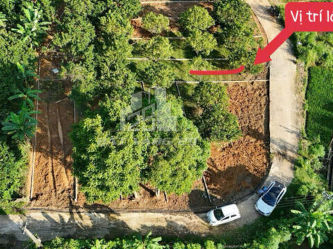 Bán đất Tân Lạc Hòa Bình – 180.8m² full thổ cư, view sông Bưởi, gần cụm công nghiệp Thanh Hối