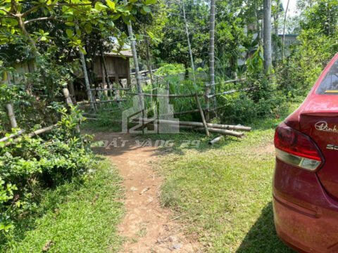 Bán đất Lạc Sơn Hòa Bình – Lô đẹp Ân Nghĩa, 553.8m², sát chợ, trường, khách sạn, nhà hàng