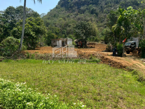 Bán đất Lạc Sơn Hòa Bình – 2.348m² có 400m² thổ cư, lưng tựa núi, view cánh đồng, gần Hang Bụt