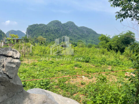 Bán đất Yên Thủy Hòa Bình – 1.215m², 400m² thổ cư, mặt đường lớn, lưng tựa núi, view suối