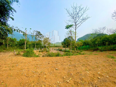 Bán đất Đà Bắc Hòa Bình – 4.500m² có 200m² thổ cư, ao cá sẵn, bám đường nhựa, gần trung tâm