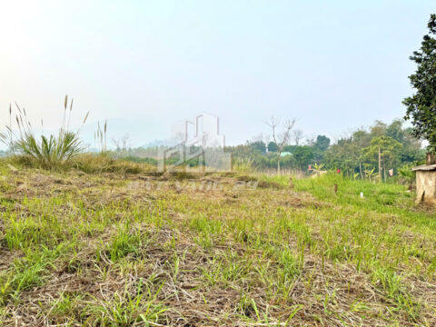 Bán đất Đà Bắc Hòa Bình – 1.031m² có 400m² thổ cư, bám đường bê tông 26m, gần khu công nghiệp