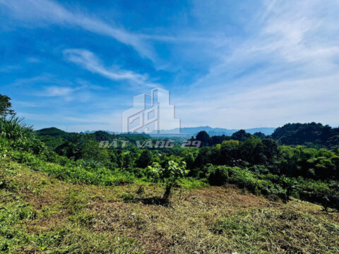 Bán đất Đà Bắc Hòa Bình – 7956m², có 400m² thổ cư, gần Xoan – Mơ Village, view hồ tuyệt đẹp