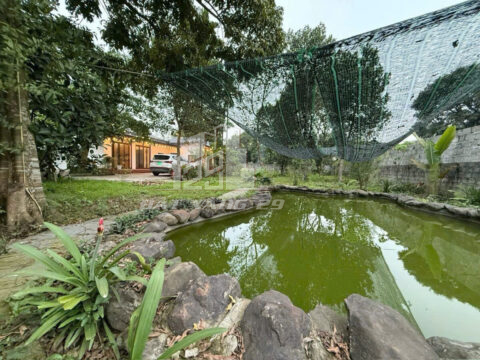 Bán đất Lương Sơn Hòa Bình – 774m² có 100m² thổ cư, sẵn khuôn viên, bể bơi, chỉ việc ở ngay