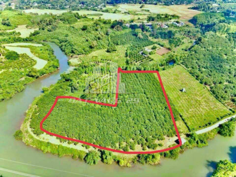 Bán đất Ngọc Mỹ Tân Lạc Hòa Bình – 8.742m² có 1.996m² thổ cư, bám sông cực đẹp