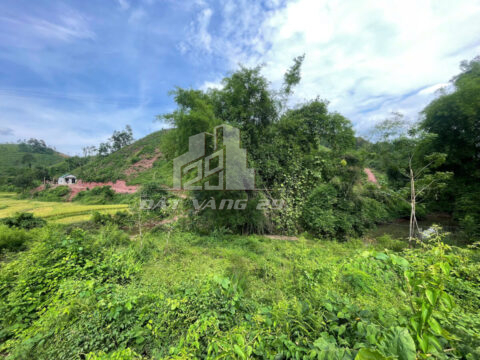 Bán đất Tân Lạc Hòa Bình – 2.274m² bám 80m đường bê tông, gần Hồ Trọng, view suối cực đẹp