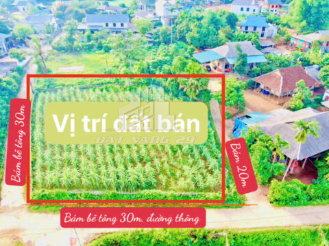 Bán đất Tân Lạc Hòa Bình – 1.021m², 3 mặt đường bê tông, có 200m² thổ cư, view đồng siêu đẹp