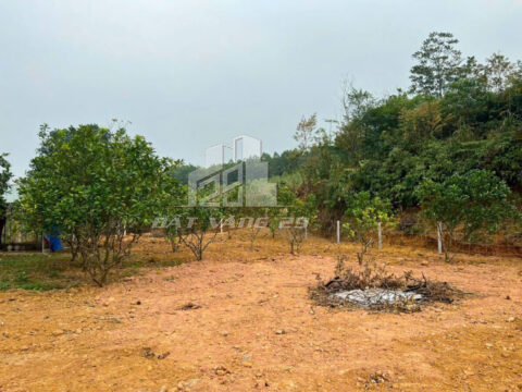 Bán đất Lương Sơn Hòa Bình – 825m², có 100m² thổ cư, view cao thoáng mát, phù hợp làm nhà vườn