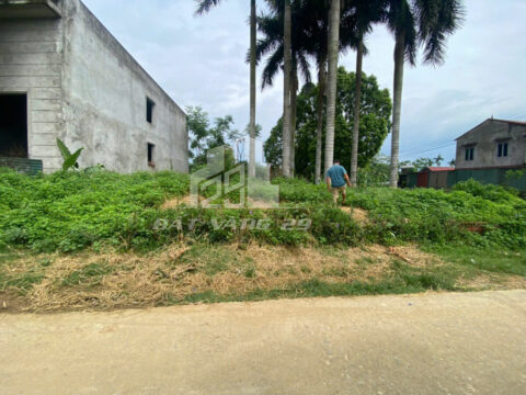 Bán đất Cao Sơn Lương Sơn Hòa Bình – 101m², gần trường học, ô tô vào tận nơi, giá đầu tư