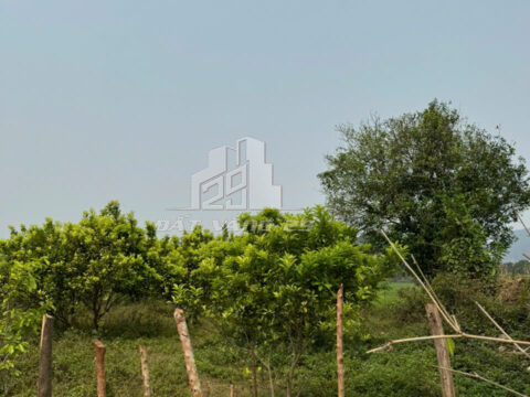 Bán đất Tân Lạc Hòa Bình – 800m², 3 mặt view cánh đồng, cách QL chỉ 1km, giá đầu tư