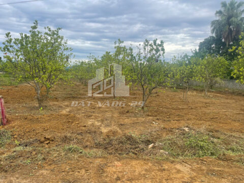 Bán đất Ngọc Lương Yên Thủy Hòa Bình – 1.032m², có 148m² thổ cư, gần vườn quốc gia Cúc Phương