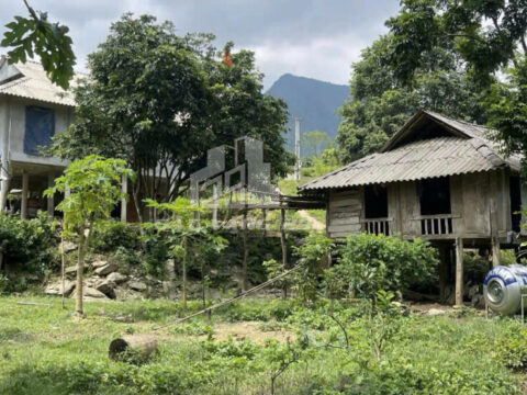 Bán đất Phú Cường Tân Lạc Hòa Bình – 610m² có 200m² thổ cư, sẵn nhà sàn gỗ, cách QL6 chỉ 2km!