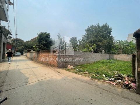 Bán đất Phượng Đồng Phụng Châu – Lô góc 60m², trục chính ô tô tránh, kinh doanh siêu đỉnh!