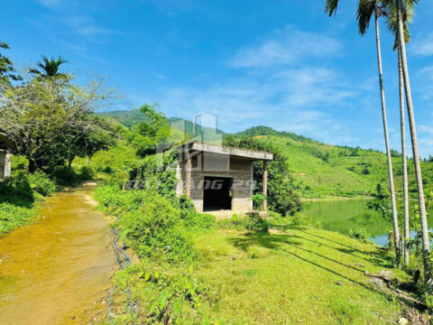 Bán đất Kim Bôi Hòa Bình – 2679m² có 500m² thổ cư, bám hồ tay chạm nước, gần Sun Group!