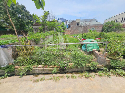 Bán đất Phú Nghĩa Chương Mỹ – 72,1m² giá hợp lý, gần khu công nghiệp, tiện ích đầy đủ!