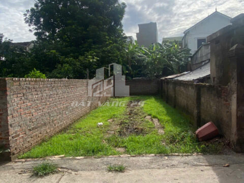 Bán đất Phượng Đồng Phụng Châu – 69m² đường ô tô vòng quanh, trung tâm tiện ích đủ đầy!