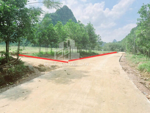 Bán đất Lương Sơn Hòa Bình – Lô góc 535m² tại Thanh Sơn, mặt tiền rộng, pháp lý rõ ràng