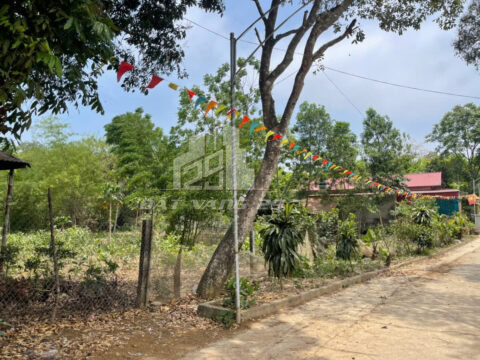 Bán đất Lạc Thủy Hòa Bình – Lô đất vị trí vàng tại Phú Thành, gần chợ và trung tâm Ba Hàng Đồi   S=196.3m2