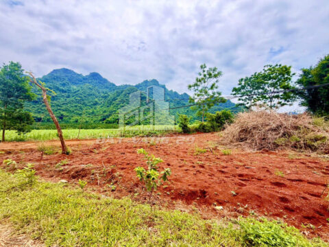 Bán đất Tân Lạc Hòa Bình – Lô 1.448m² tại Mỹ Hoà, 2 mặt tiền, view đồng cực thoáng