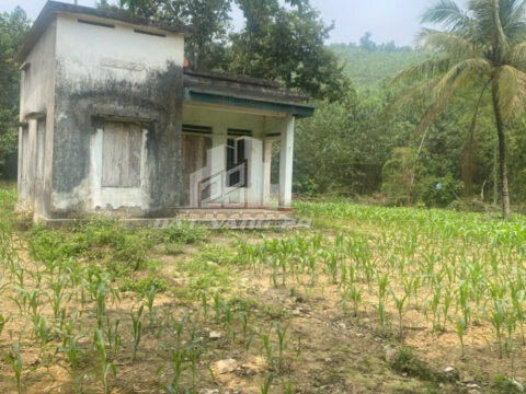 Bán đất Lạc Thủy Hòa Bình – Lô 1.100m² tại Đồng Tâm, có 400m² ONT, mặt tiền 36m, gần khu đô thị