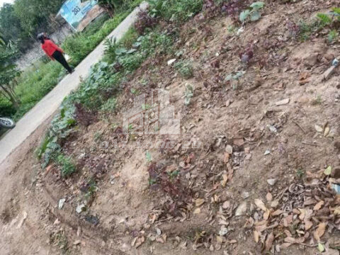 Bán đất Thụy Hương Chương Mỹ – Diện tích 30m² vuông đẹp, gần trung tâm, dân cư đông