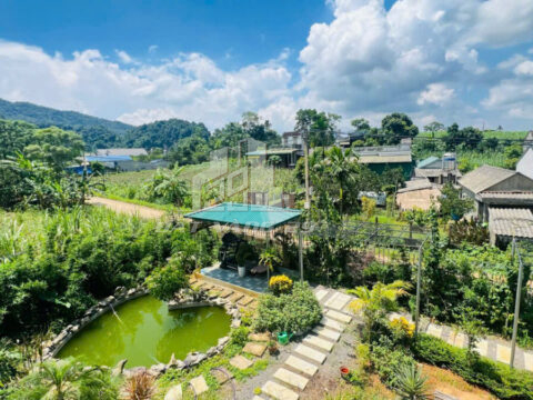 🏡 Bán Đất Cao Phong Hòa Bình – 300m² Có 100m² Thổ Cư – Sẵn Nhà 2 Tầng Đẹp, Chỉ Hơn 1 Tỷ!