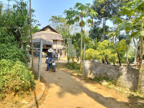 🏡 Bán Nhà Đất Tân Lạc Hòa Bình – 973.8m² Có 400m² Thổ Cư – Sẵn Nhà Cấp 4, Về Ở Ngay!