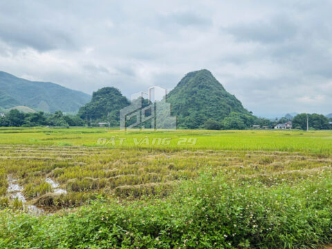 Bán Đất Cao Dương Lương Sơn – 100m² Thổ Cư – Giá Chỉ 5xx Triệu – View Đồng & Núi Cực Đẹp!