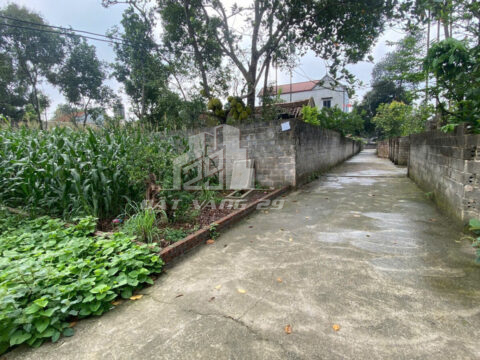 Bán Đất Chính Chủ Tân Tiến – Đường Rộng, Pháp Lý Chuẩn, Sẵn Ở Hoặc Đầu Tư S=95,5m²