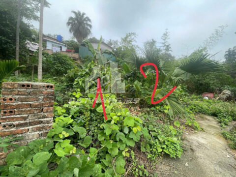 Bán Đất Thổ Cư Tiên Phương Chương Mỹ – Full Thổ Cư Sổ Đỏ – View Núi Trầm S=103m²