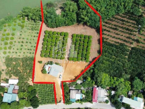 Bán đất Lạc Thủy Hòa Bình – 4.900m² – Mặt tiền quốc lộ, giáp sông Kim Bôi, tiềm năng nghỉ dưỡng