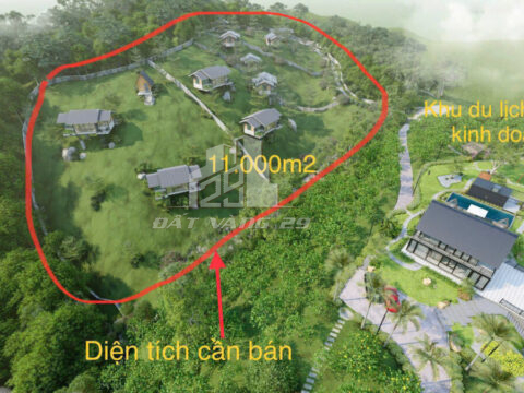 Bán đất Bình Thanh Cao Phong – 1,1ha liền kề Homestay – View đẹp, pháp lý chuẩn, tiềm năng nghỉ dưỡng