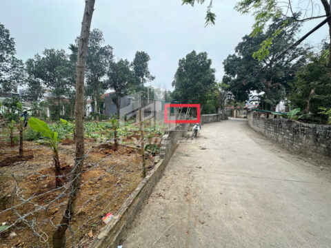 Bán đất Hoàng Văn Thụ Chương Mỹ – 41,1m² vuông vắn – Ô tô tránh – Sổ sẵn sang tên ngay!