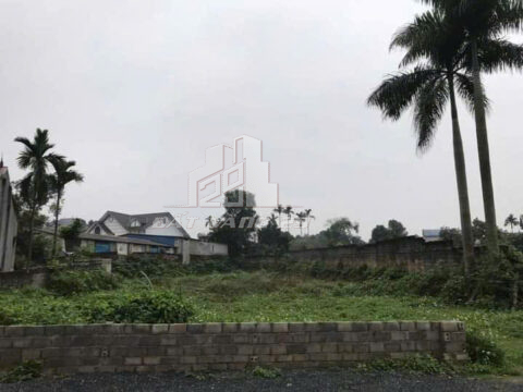 Bán đất Nam Phương Tiến Chương Mỹ – Hàng hiếm 1.269m² – Cơ hội sinh lời cực mạnh!