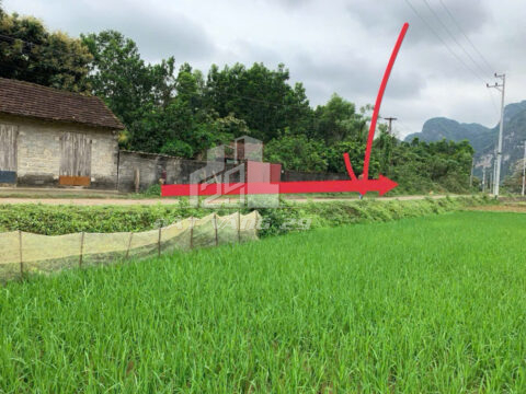 Bán đất Lạc Thủy Hòa Bình – 100m² gần làng du lịch Mường – Cách QL21A chỉ 500m, vị trí siêu hiếm!