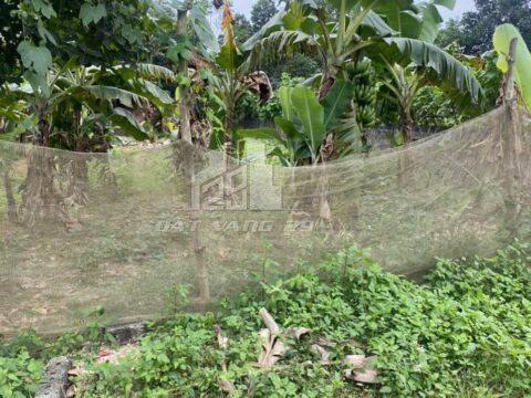 Bán đất Thủy Xuân Tiên Chương Mỹ – 236m² – Sổ đỏ riêng – Gần Quốc lộ, tiện kinh doanh