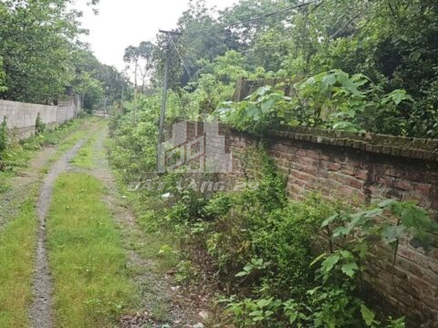 Bán đất Thủy Xuân Tiên Chương Mỹ – 2200m² – Sổ đỏ riêng – Gần trung tâm, tiện đầu tư lớn