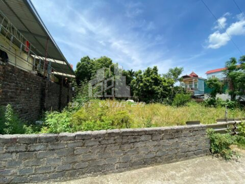 BÁN GẤP LÔ ĐẤT ĐẸP PHÚ NGHĨA –  Full Thổ Cư S=203m²