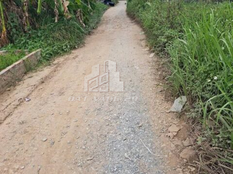  Bán đất thổ cư Tiên Phương – Gần QL6 – Sổ sẵn – S=60m²