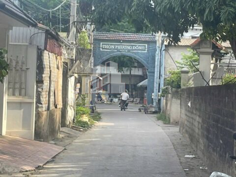 Bán Lô đất nền Phượng Đồng Phụng Châu – Giá Rẻ Cho Nhà Đầu Tư – 120,3m²