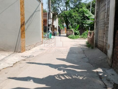 Bán Đất Thổ cư Phượng Đồng Phụng Châu – Đầu tư sinh lời – sổ đỏ chính chủ S=64m²