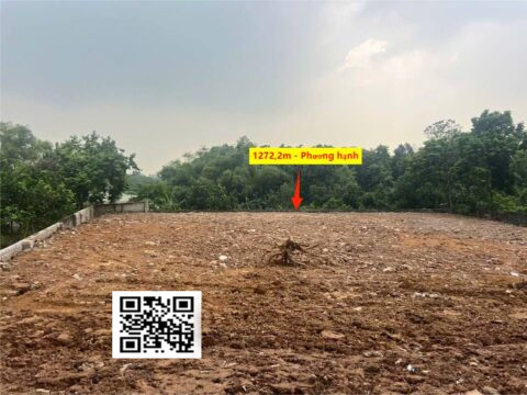 BÁN ĐẤT PHƯƠNG HẠNH TÂN TIẾN 1.272M² – MẶT TIỀN 32M – CÓ 300M² THỔ CƯ – XUÂN MAI, CHƯƠNG MỸ – GIÁ CHỈ VÀI TRIỆU/m²