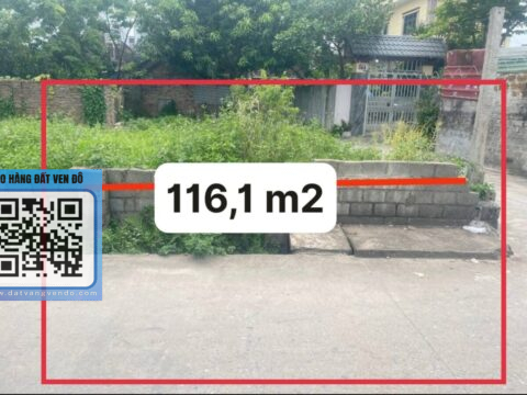 Bán đất thổ cư Xã Quảng Bị  – Nằm trong khu dân cư đông đúc   S=116,1m2