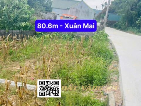 Bán Lô Đất Xuân Mai – Diện Tích Đẹp – Sổ Đỏ Sang Tên Ngay – LK21 – S=80,6m