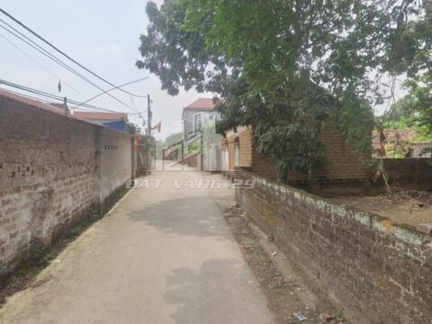 Bán đất Tiến Văn Hoàng Văn Thụ – Hướng Nam – Sổ đỏ – S=382m²