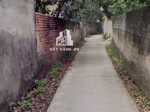 BÁN ĐẤT PHƯỢNG ĐỒNG PHỤNG CHÂU – TRUNG TÂM CỰC ĐẸP – GIÁ TỐT S=48M